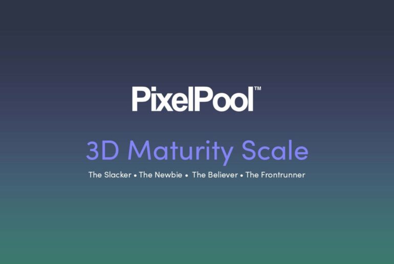 PixelPool FVS - 3D Maturity Levels_Page_01