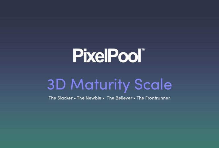 PixelPool FVS - 3D Maturity Levels_Page_01