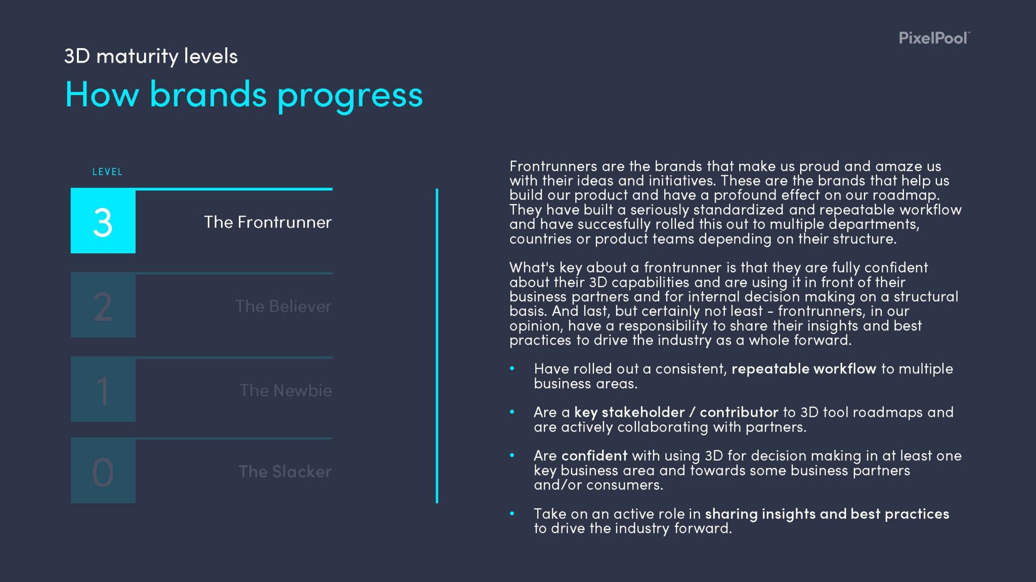 PixelPool FVS - 3D Maturity Levels_Page_08